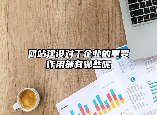 網(wǎng)站建設(shè)對于企業(yè)的重要作用都有哪些呢